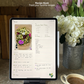 Digital Meal Planner