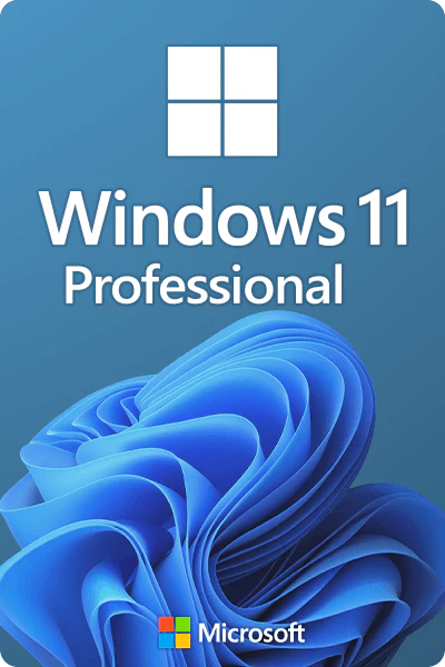Microsoft Windows 11 Professional 5 PC