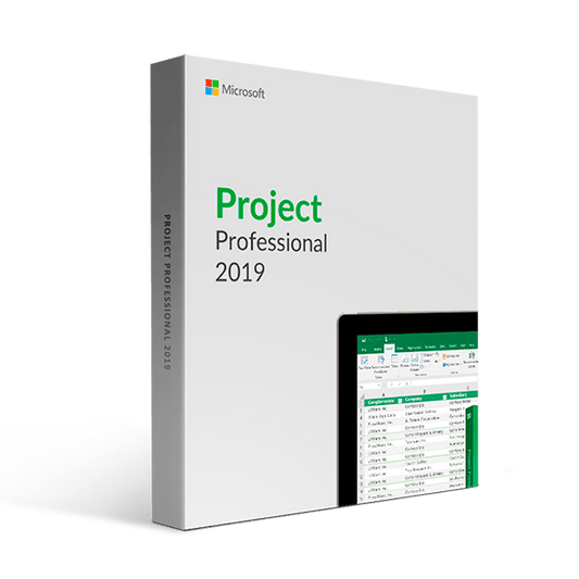 Microsoft Project 2019 Professional