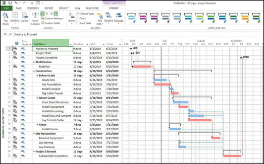 Microsoft Project 2021 Professional